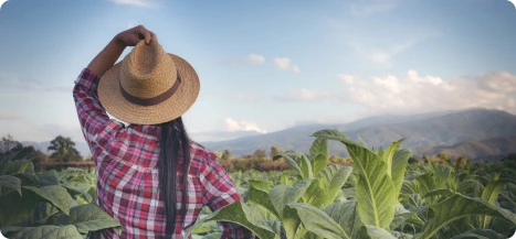 Explore Colombia colombia