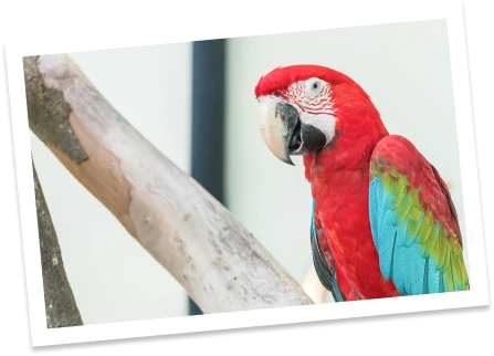 health tourism colombiana